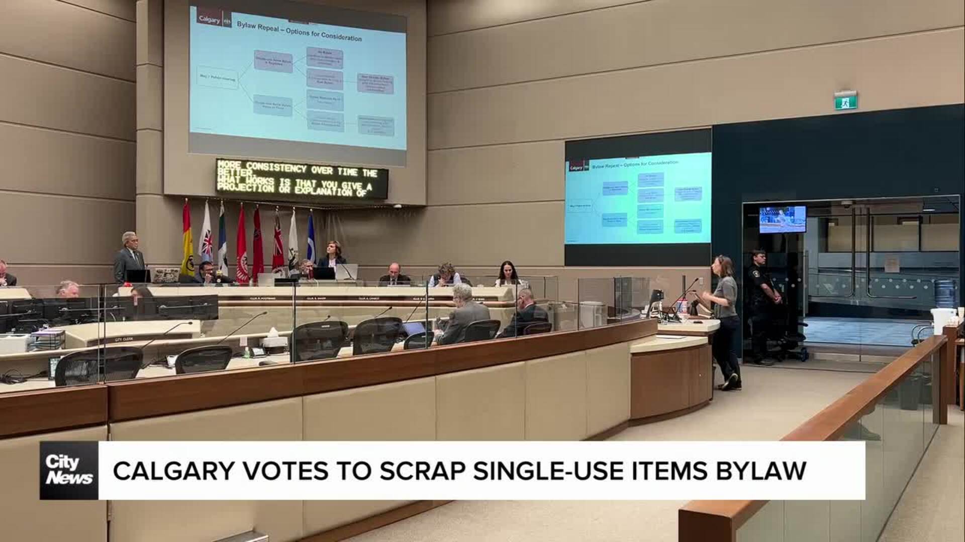 Calgary votes to scrap single-use items bylaw