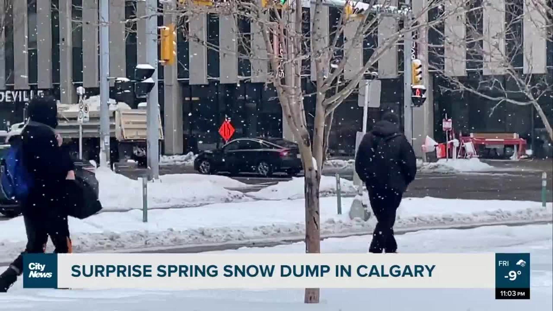 How are Calgarians coping with all this spring snow