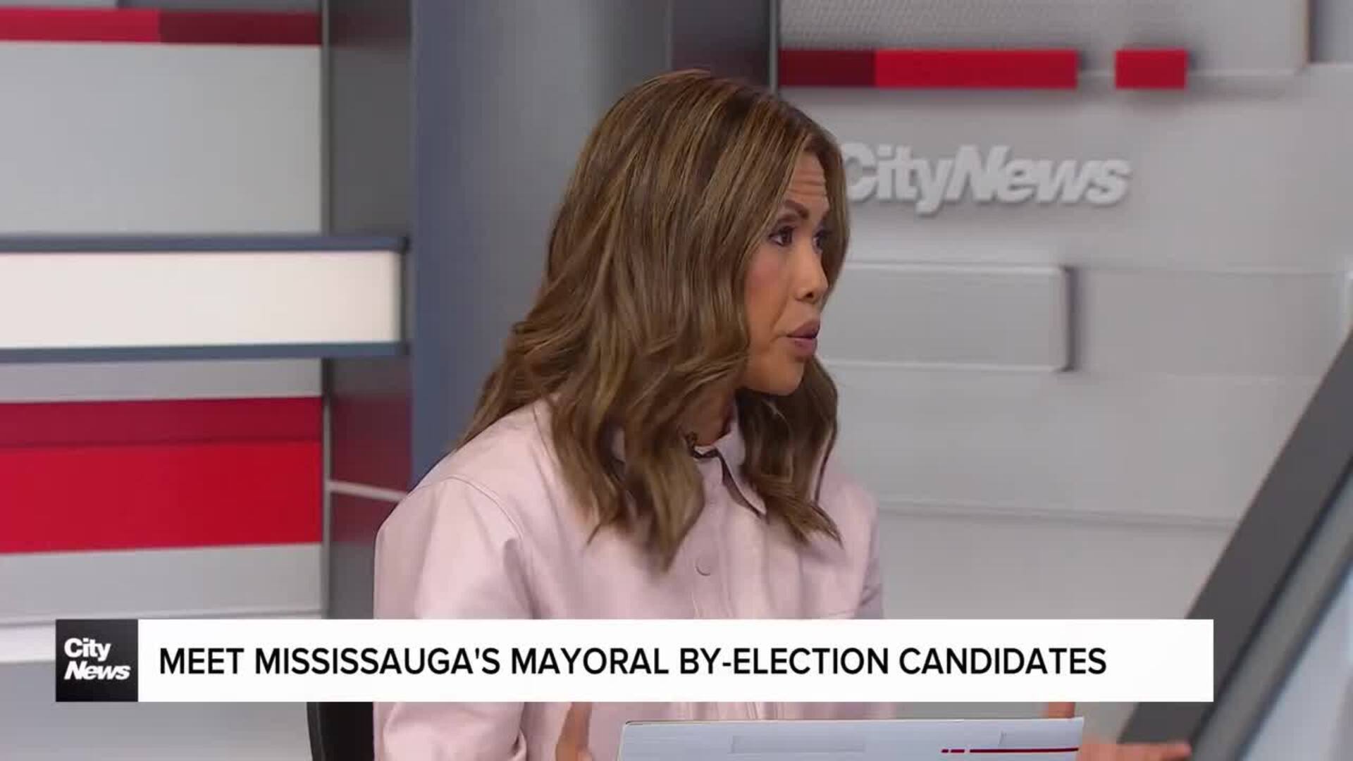 Meet Mississauga Mayoral candidate Dipika Damerla
