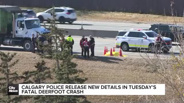 70-year-old man struck and killed on Deerfoot Trail shoulder