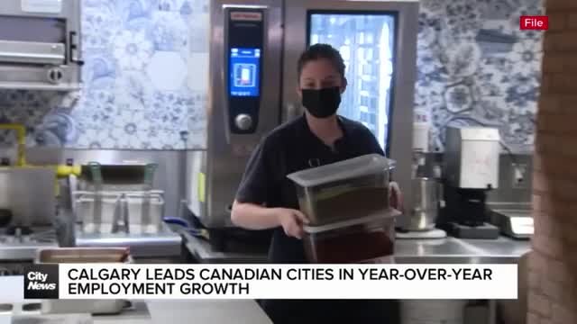 Calgary leads Canadian cities in year-over-year employment growth