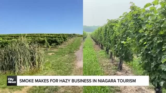 Blips in tourism sector roll in with smoky skies