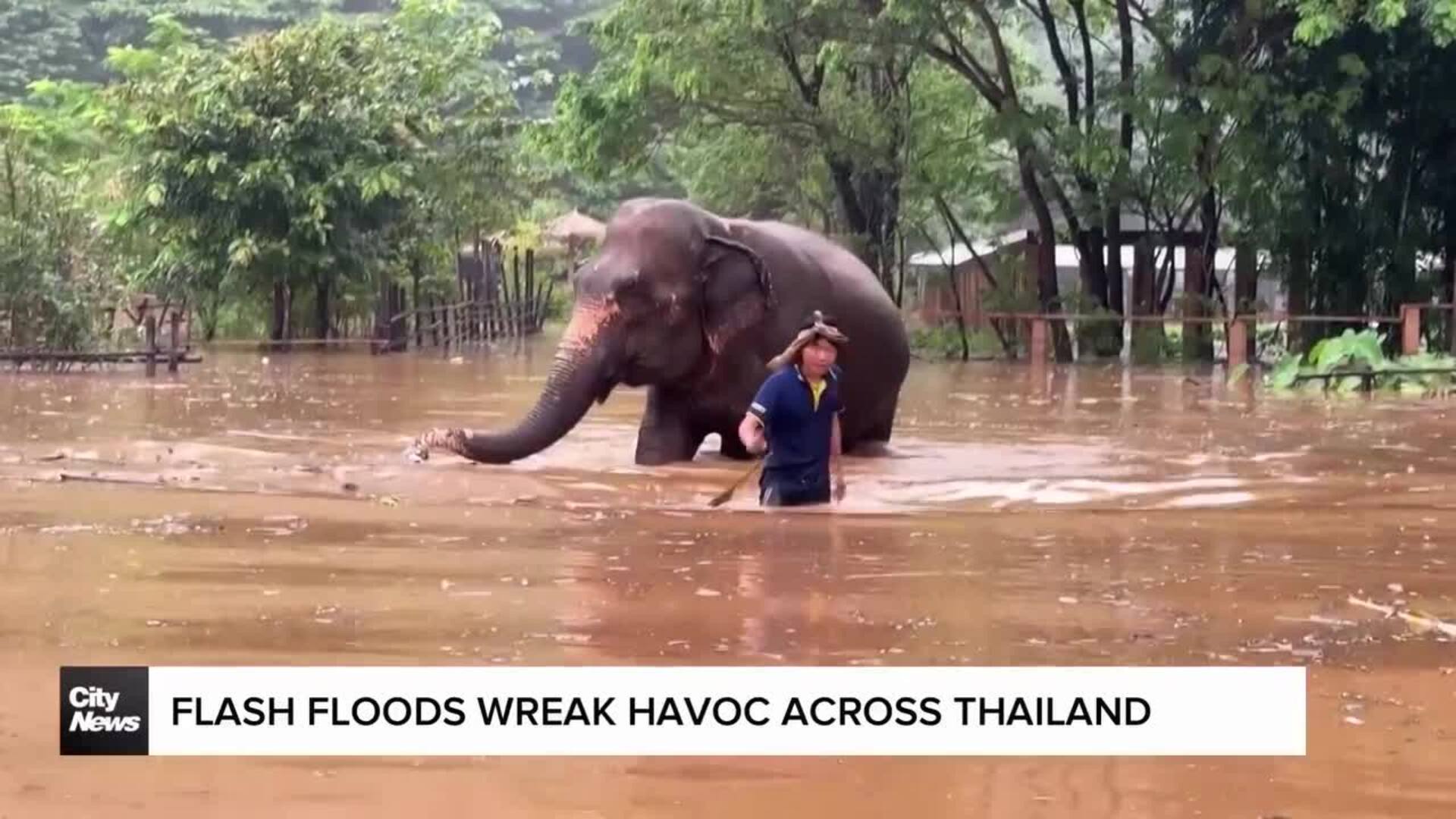 South and South East Asian countries inundated by floods 