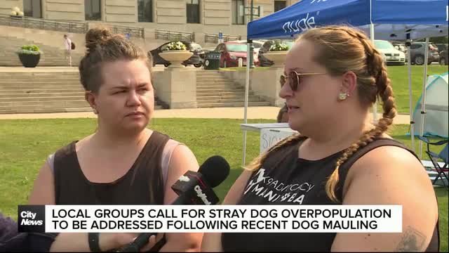 Groups rally against dog maulings