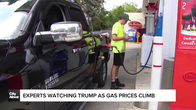 Experts watchful of Trump as gas costs soar: 'Whatever he says, it changes the price'