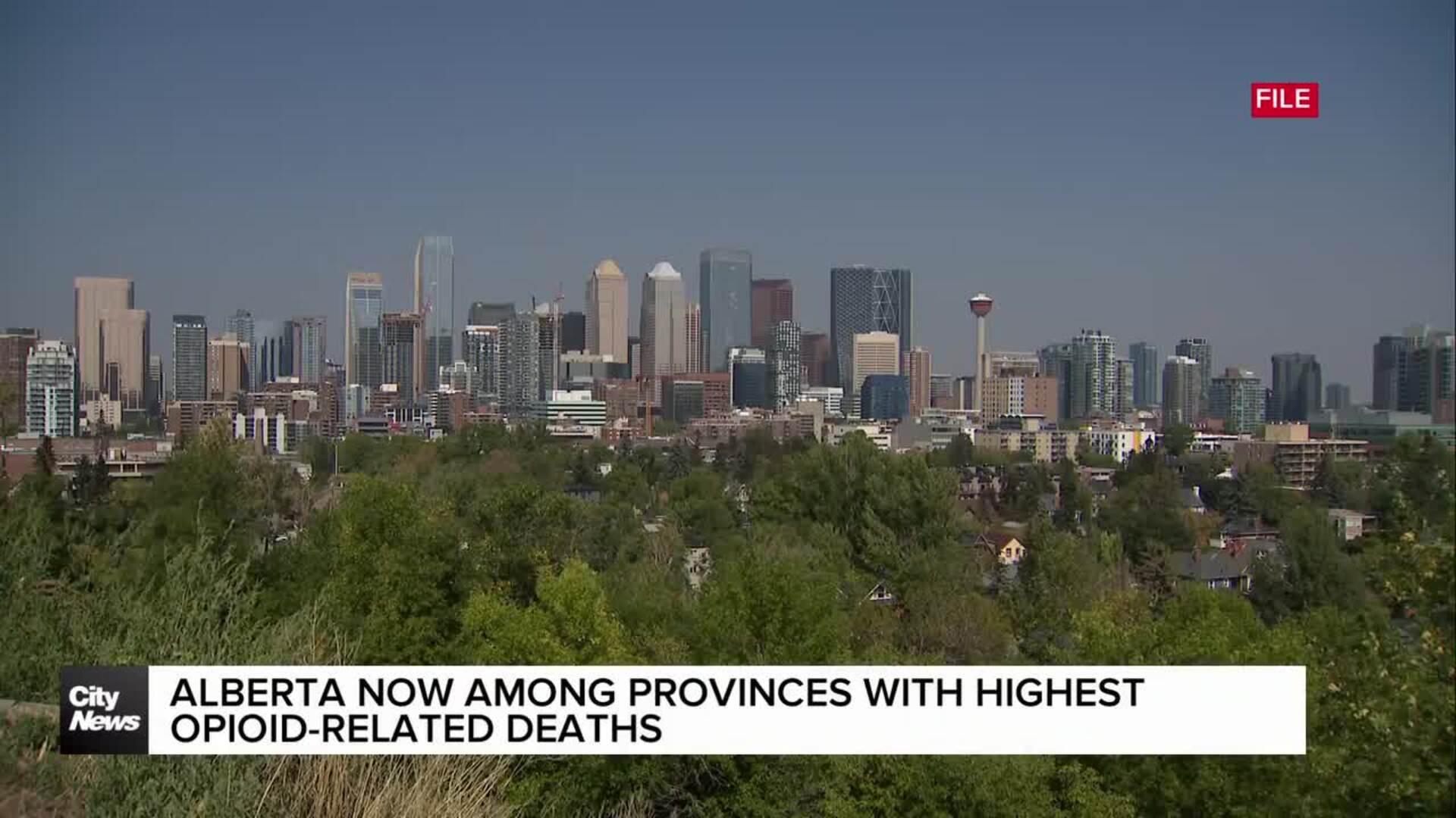 Alberta now among provinces with highest opioid-related deaths