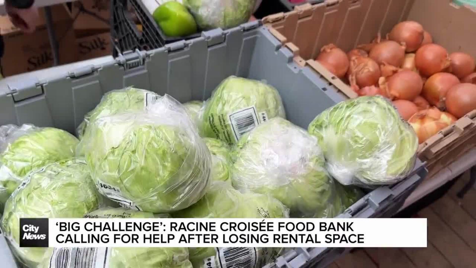 Food bank distributes hundreds of food baskets weekly, closure looms