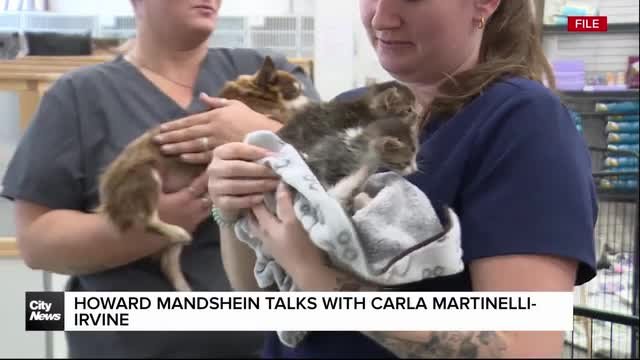Howard Mandshein talks with Carla Martinelli-Irvine