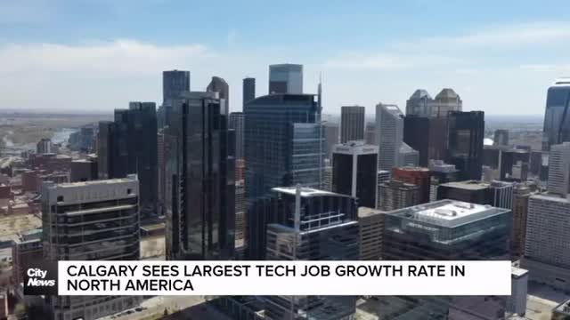 Calgary’s tech job growth rate the fastest in North America
