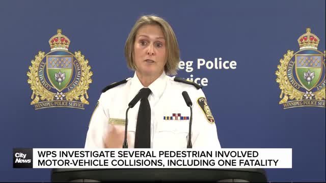 ‘Having the right of way does not make you safe’: Winnipeg police investigate several pedestrian involved collisions over the past month