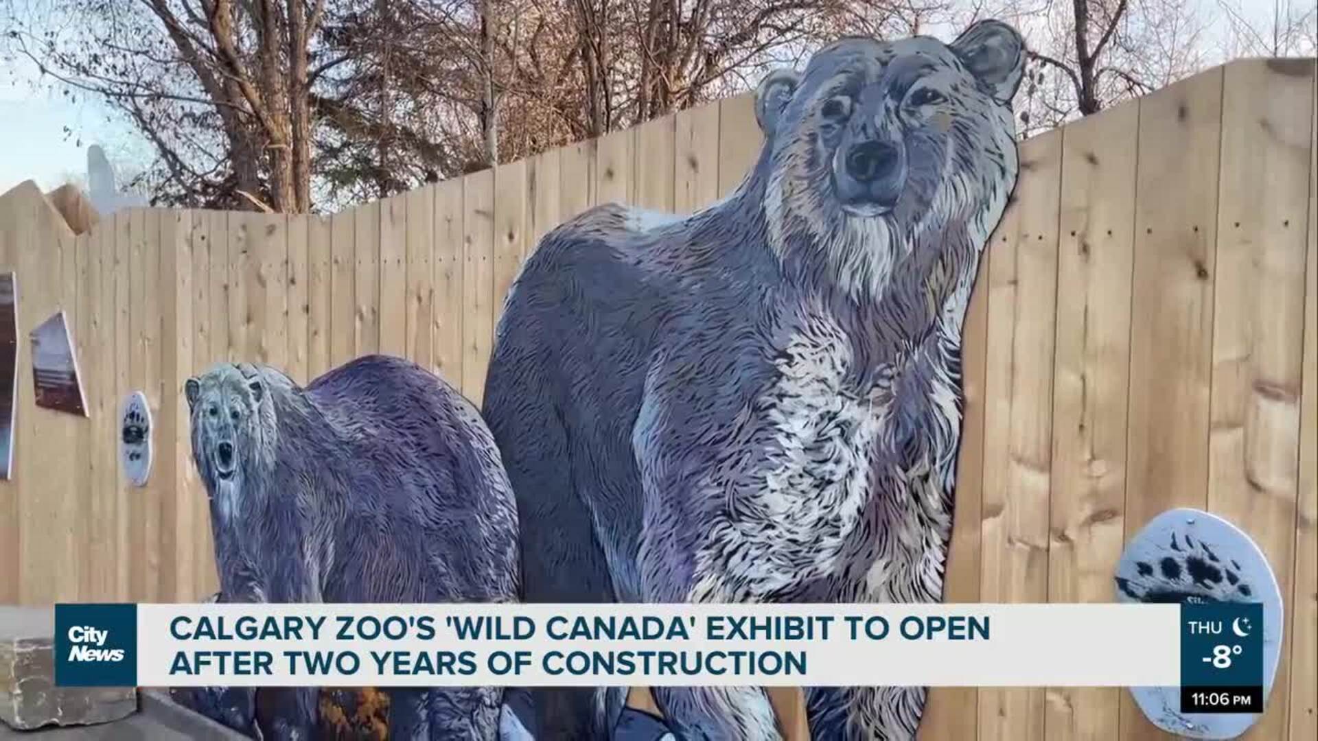 Calgary Zoo to open ‘Wild Canada’ exhibit following major construction