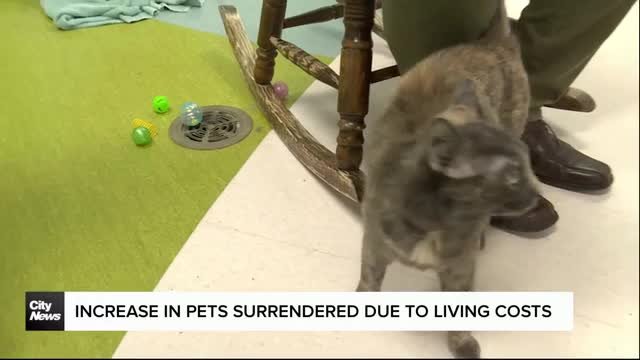 Winnipeg Humane Society says more people cant afford to keep their pets