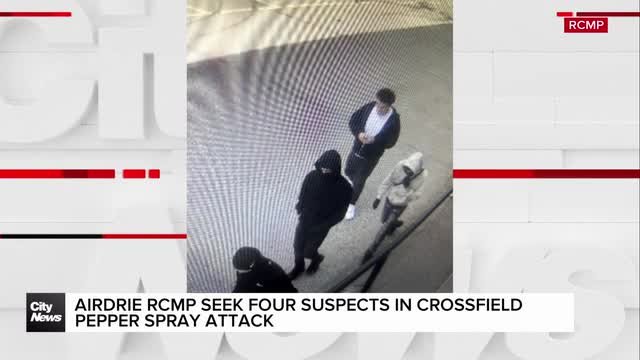 Airdrie RCMP seek four suspects in Crossfield pepper spray attack