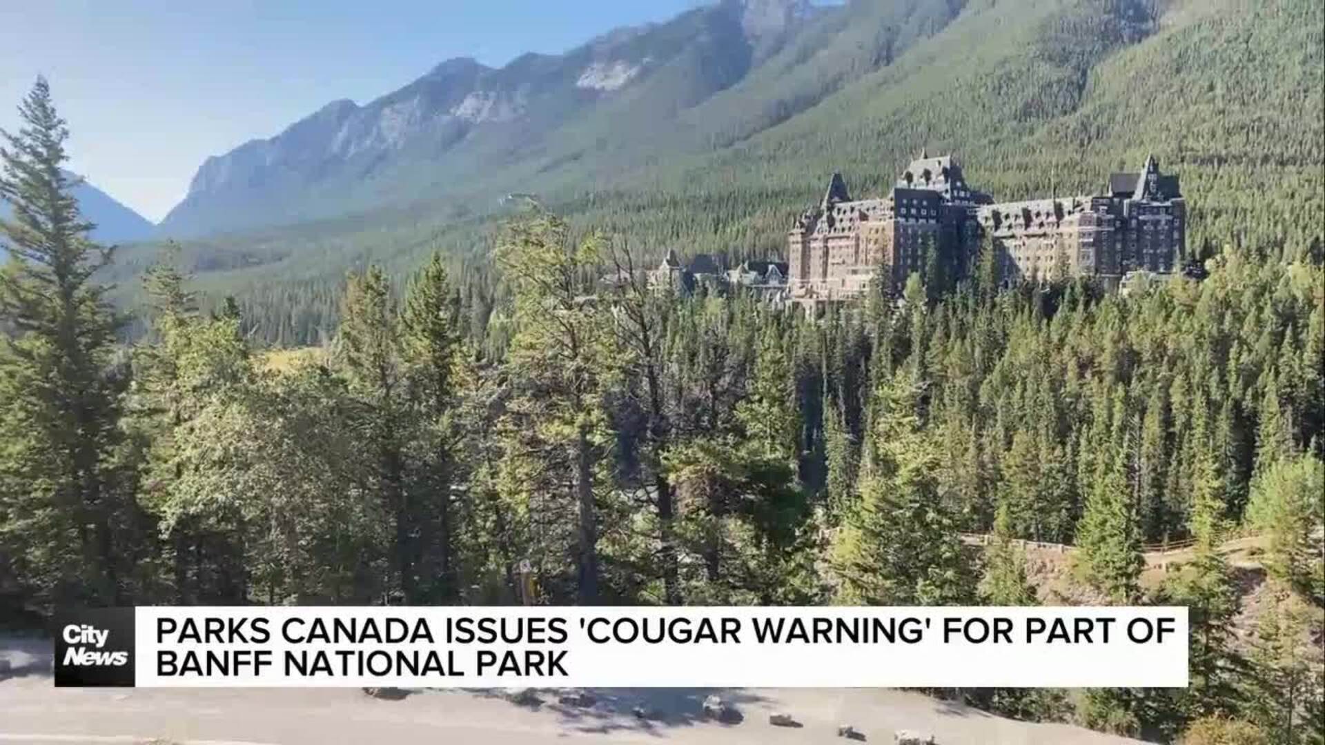Cougar warning issued for part of Banff National Park