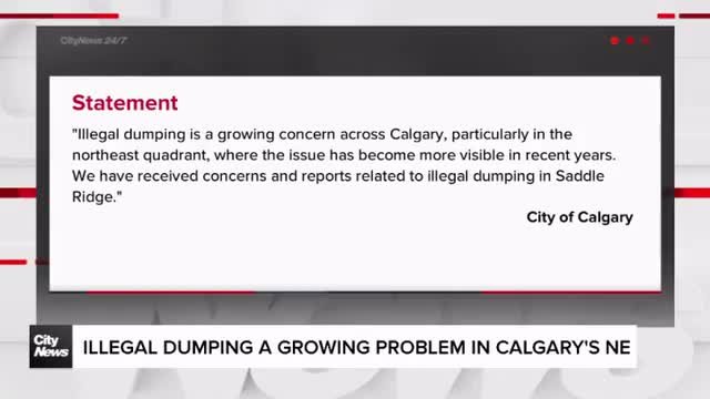 Illegal dumping a growing problem in Calgary’s NE