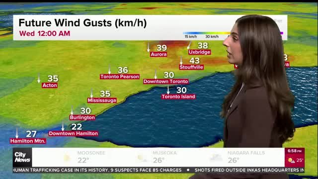 Sunny for the rest of the week, less humidity expected