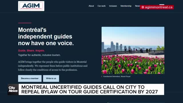 Montreal uncertified tour guides urge City to overhaul license bylaw
