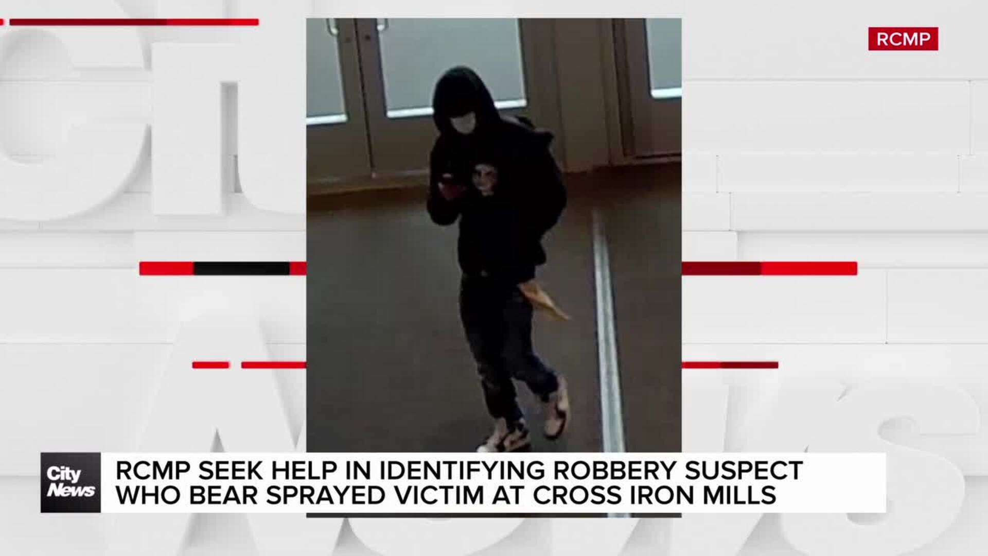 Suspect bear-sprayed woman while trying to steal purse at CrossIron Mills: RCMP