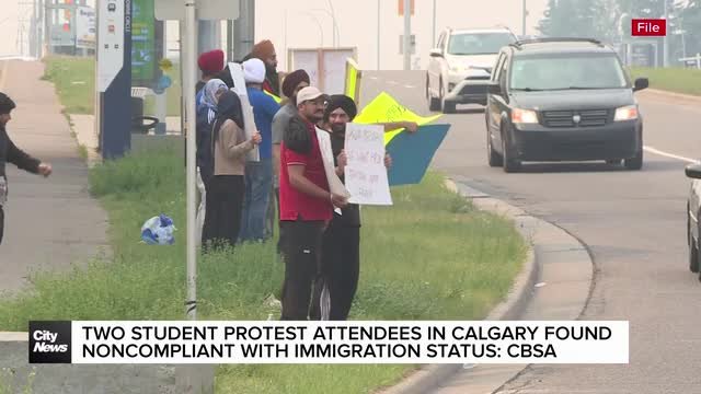 Two student protest attendees in Calgary found noncompliant with immigration status: CBSA