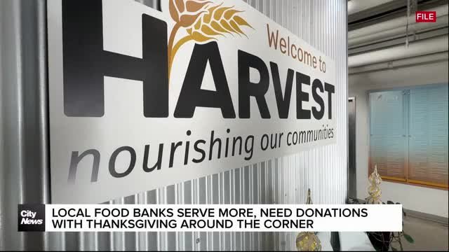 Local food banks serve more, need donations with Thanksgiving around the corner