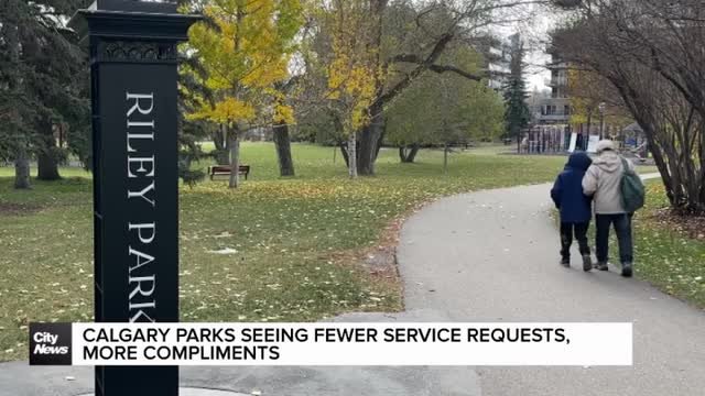 Calgary parks seeing fewer service requests, more compliments