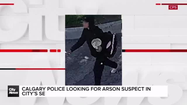 Young woman sought after garage fire destroys vehicle in SE Calgary