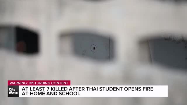 At least 7 dead after Thai student opens fire at home and school