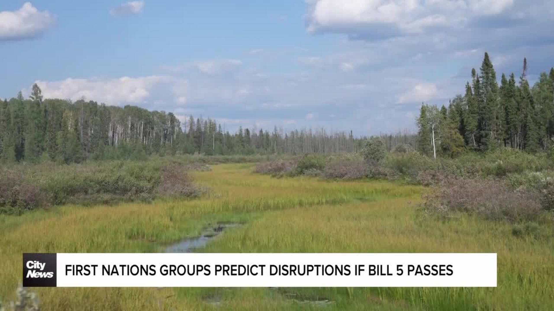 First Nations leaders warn Ford government of disruptions if Bill 5 is passed