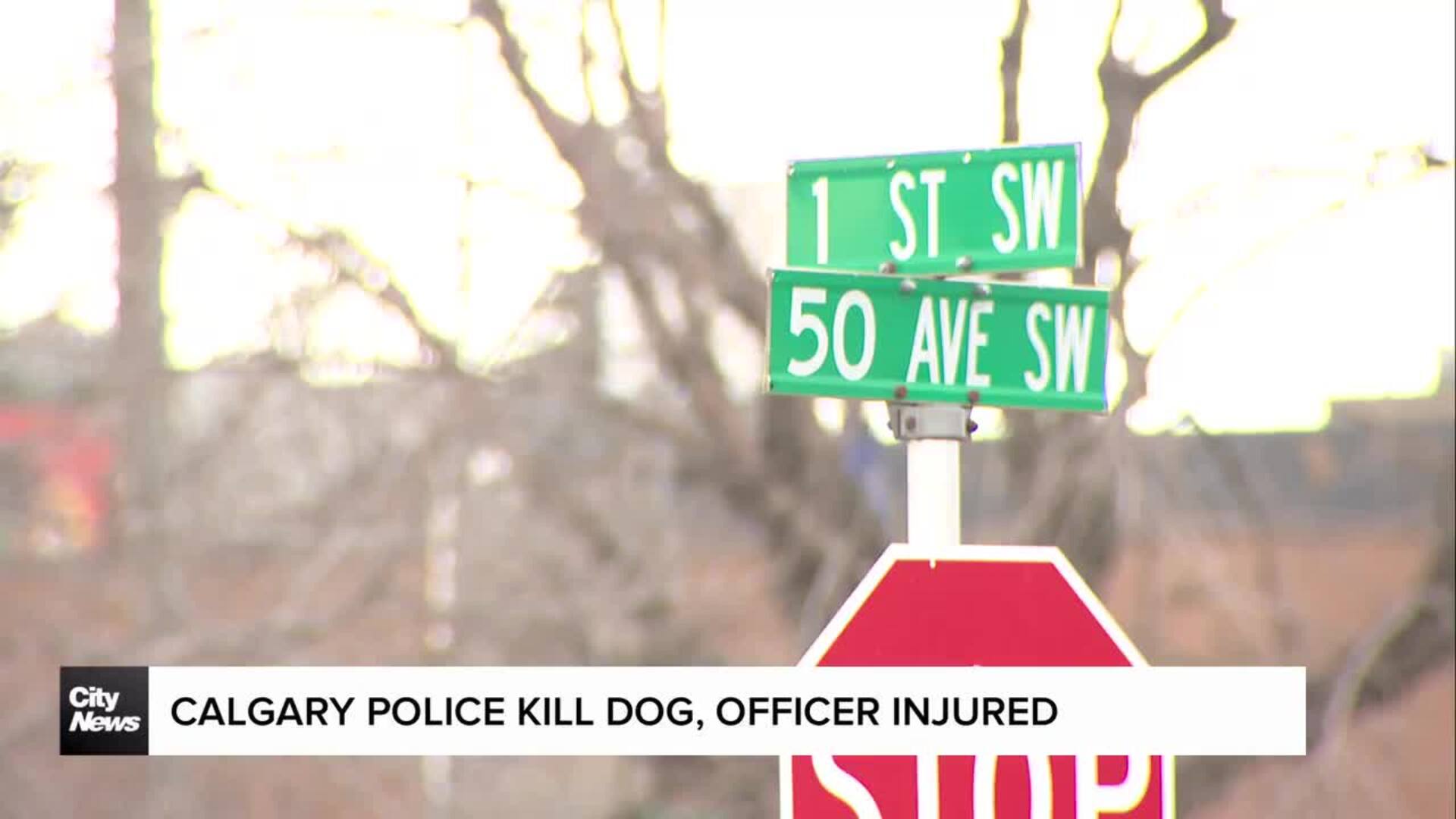 Calgary police kill dog, officer injured