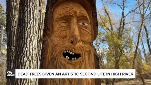 Dead trees given an artistic second life in High River