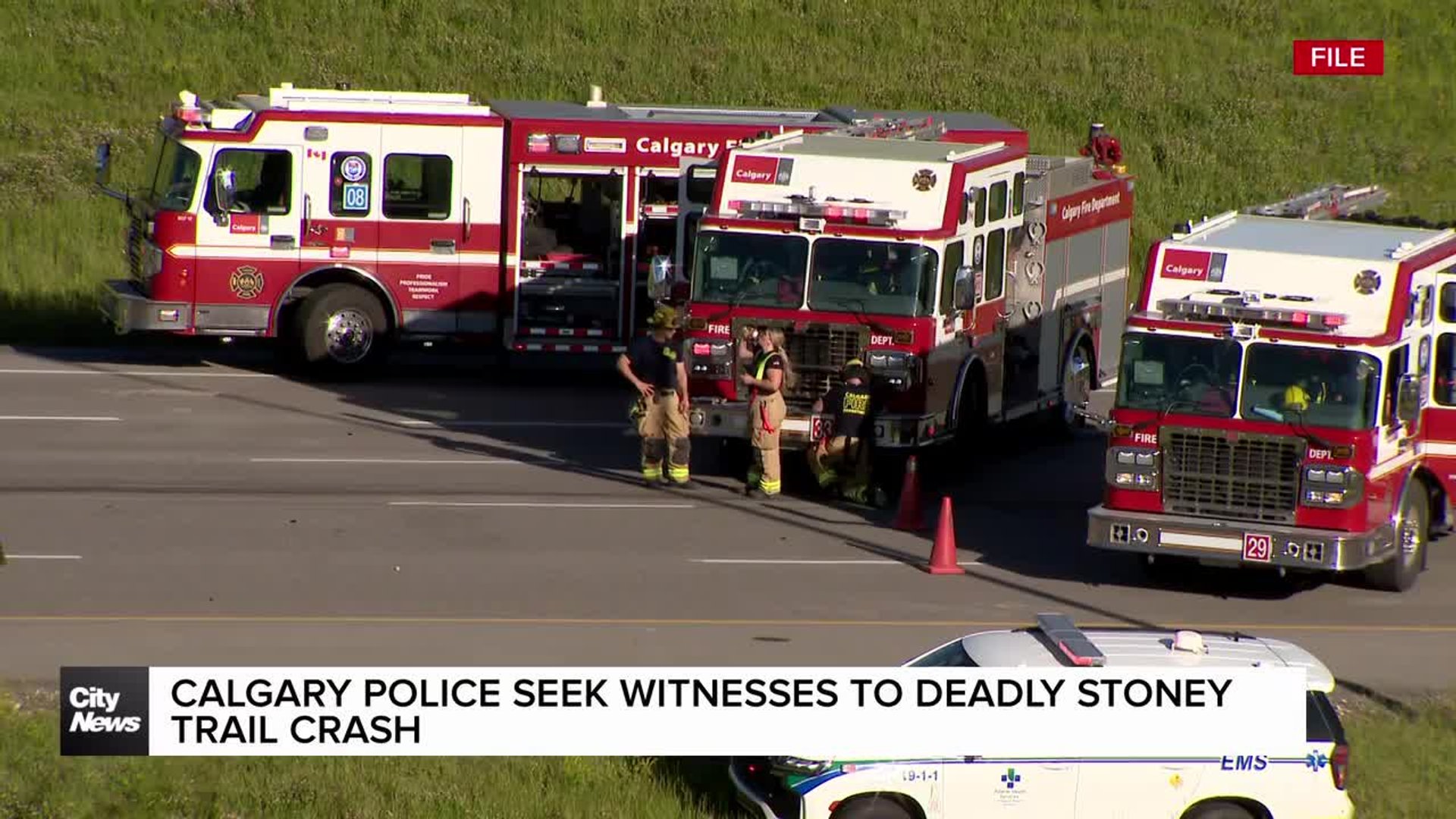 Calgary Police seek witnesses to deadly Stoney Trail crash