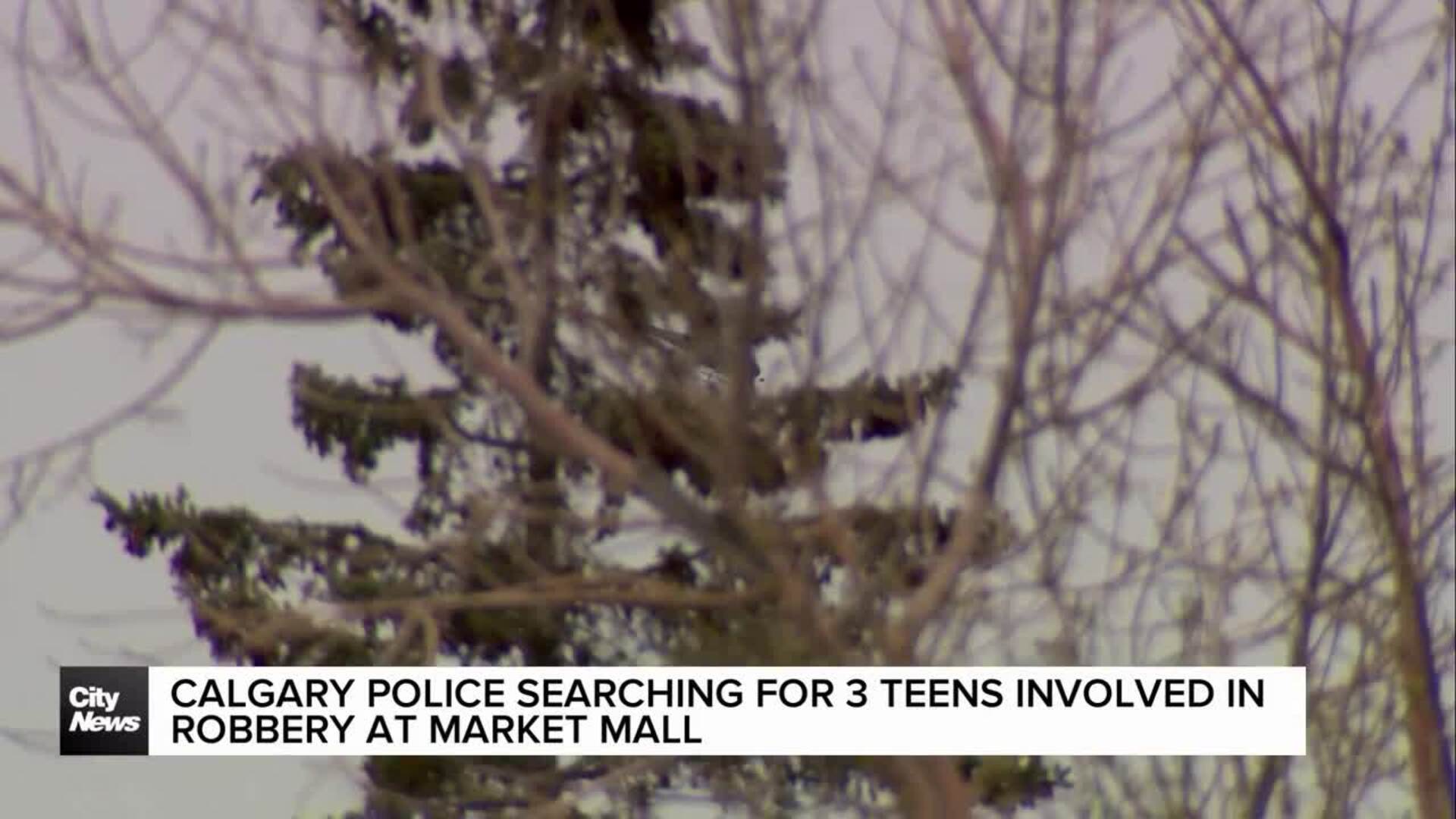 Calgary Police searching for 3 teens involved in robbery at Market Mall