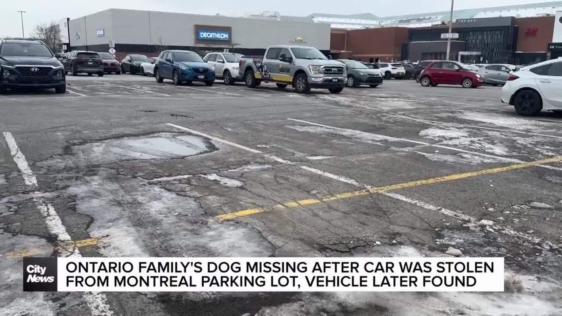 Ontario family's car stolen in Montreal with dog still inside