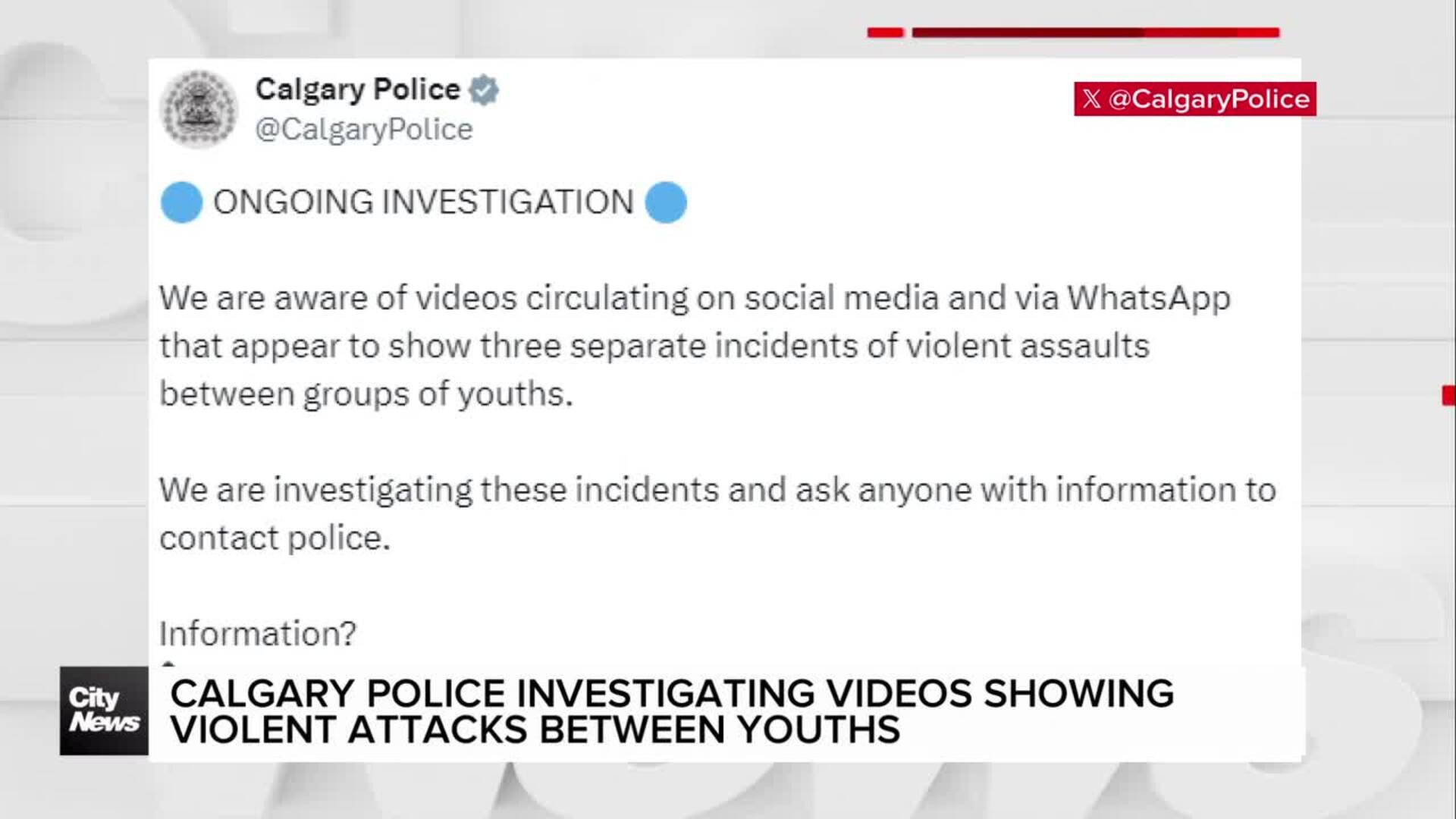 Calgary police investigating videos showing violent attacks between youths