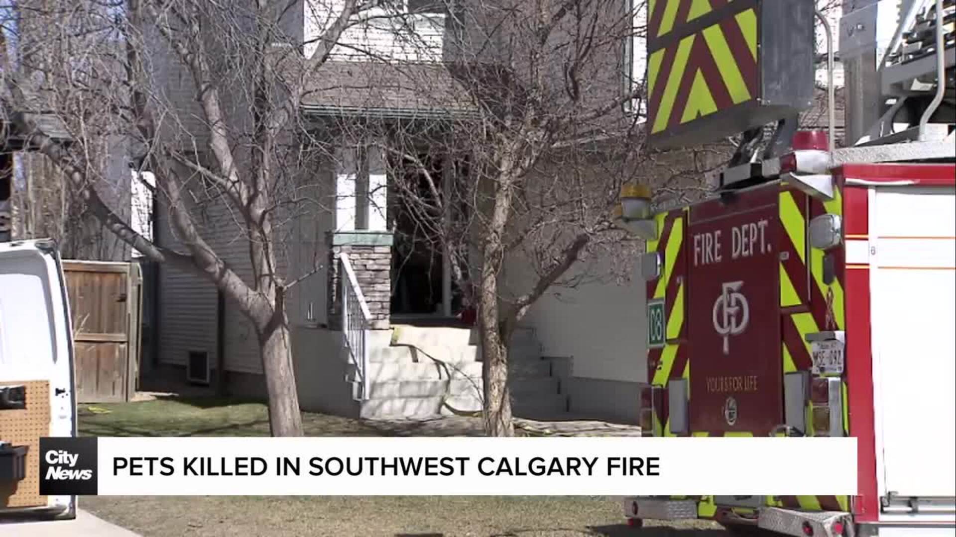 Pets killed in southwest Calgary fire