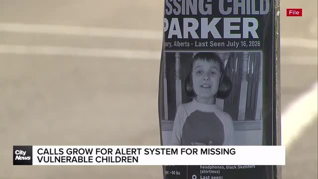 Calls grow for alert system for missing vulnerable children