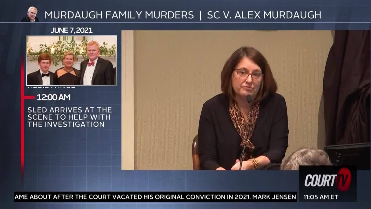 Financial misdeeds allowed in Alex Murdaugh murder trial