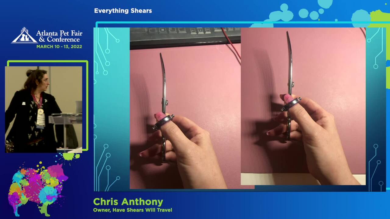Preview Image for this video