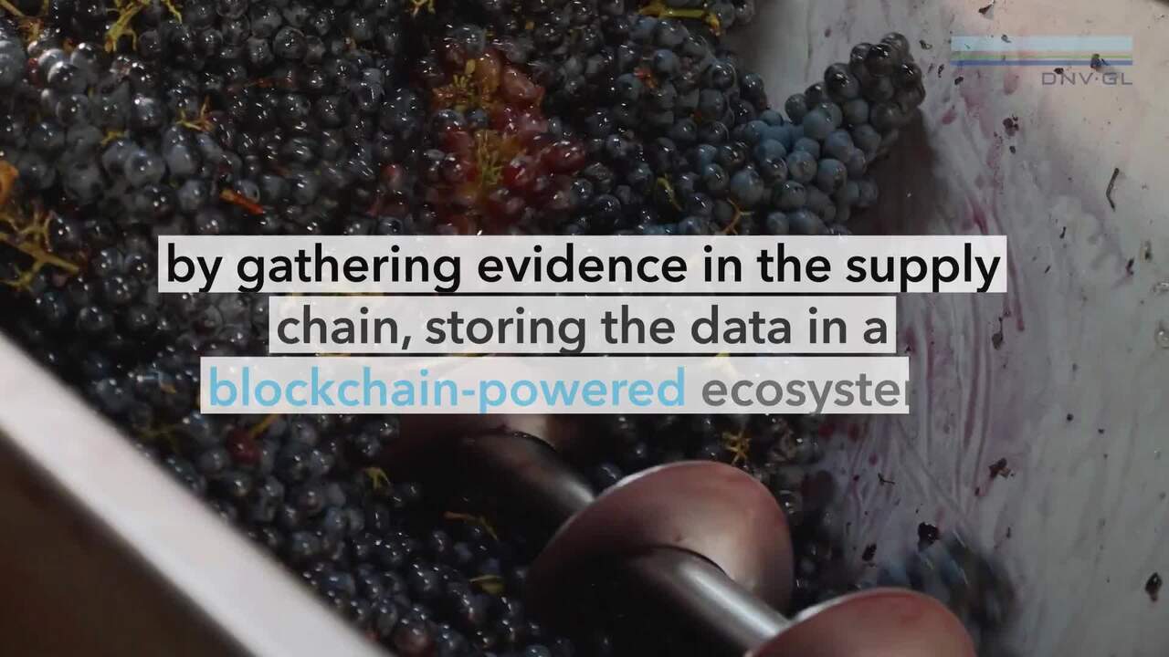 Italian wine makers first to use blockchain powered solution