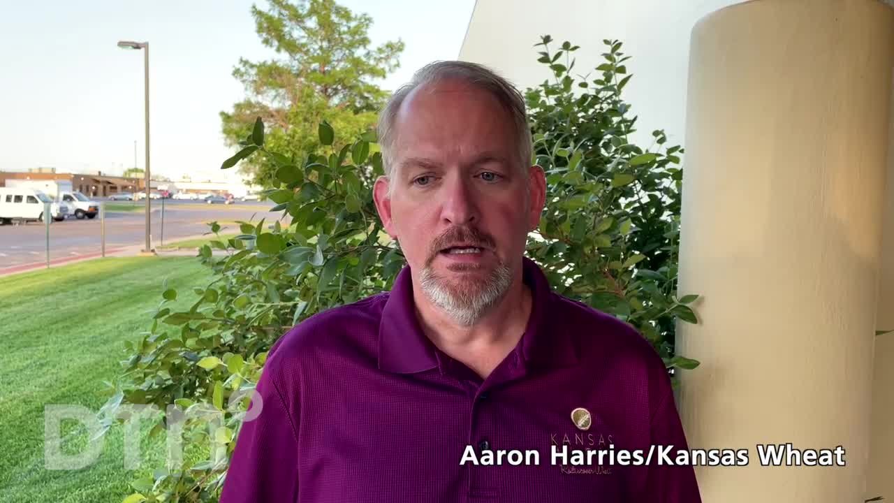 Kansas Hard Winter Wheat Tour Day 2
