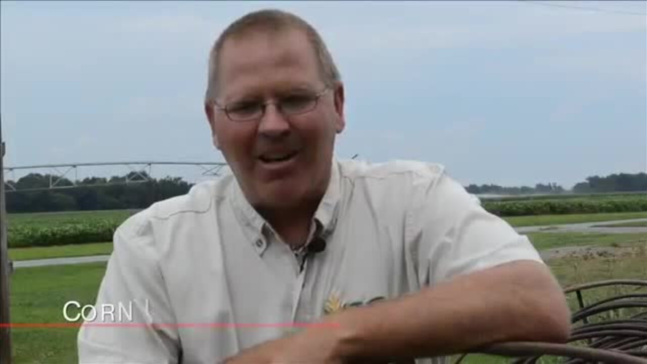 Among Rain Drops A Yield Surprise