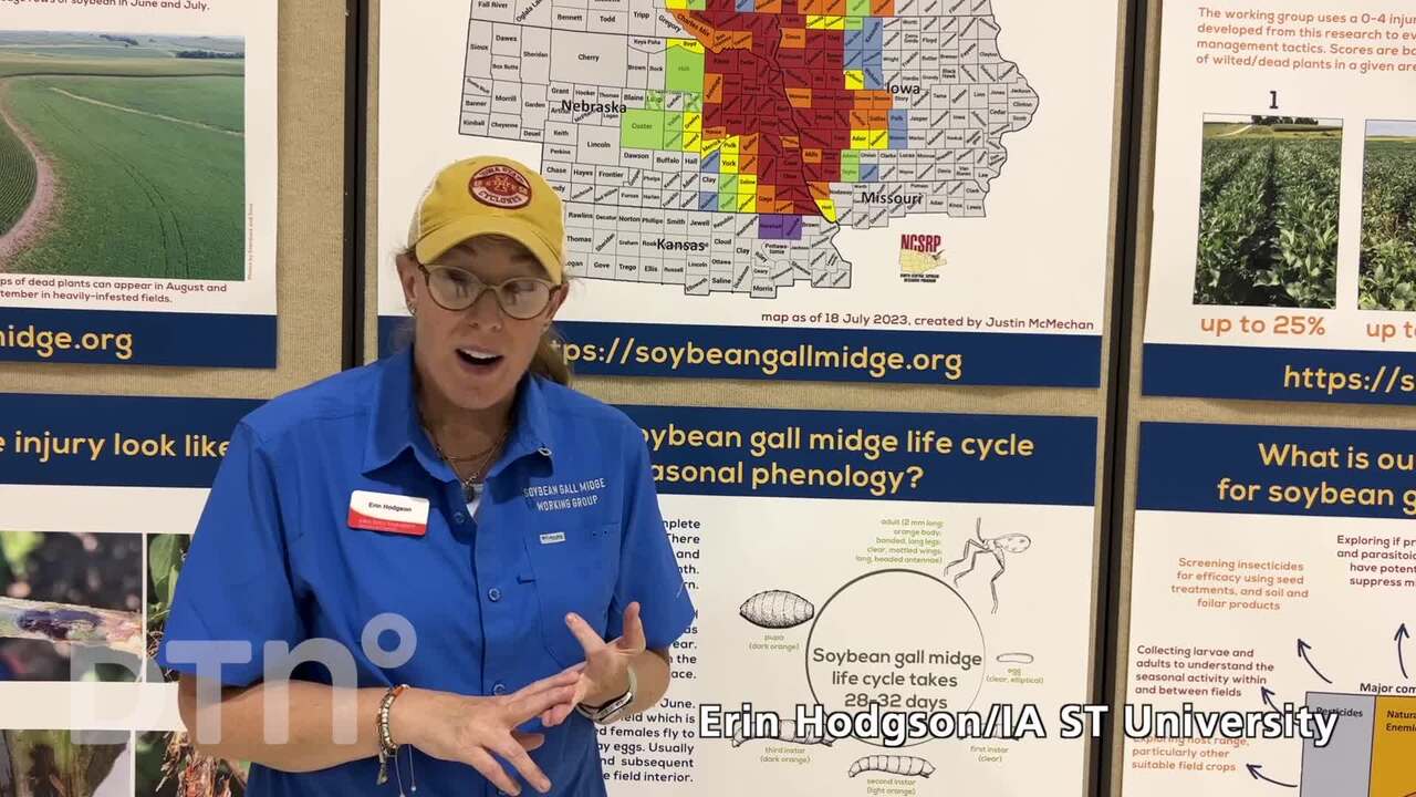 Dr. Erin Hodgson and Gall Midge