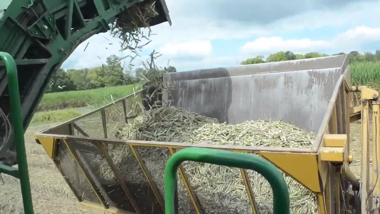 Bobby Morris - 2019 Best Young Farmers & Ranchers