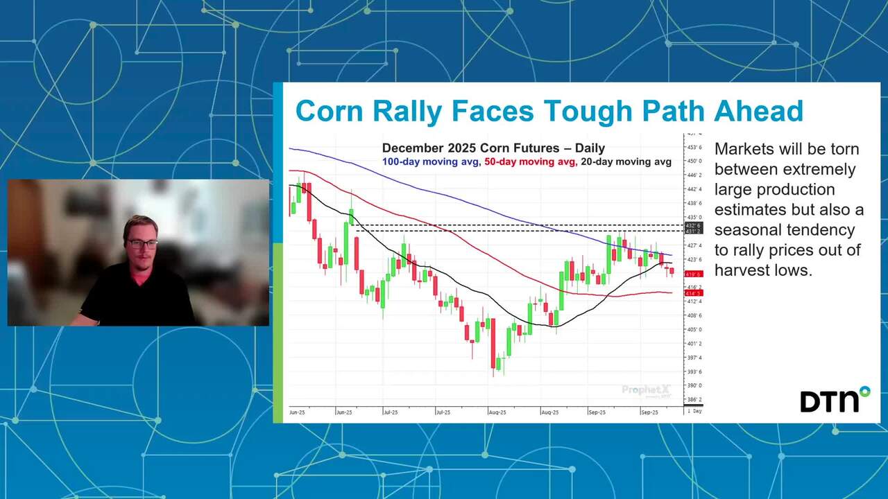 September 2025 Grain Stocks Report