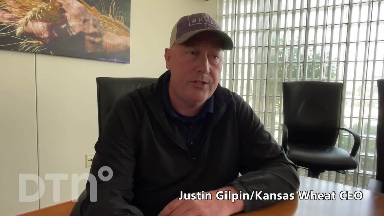 Kansas Hard Winter Wheat Tour Day 3