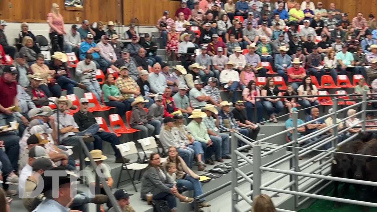 Canadian Named Top Livestock Auctioneer