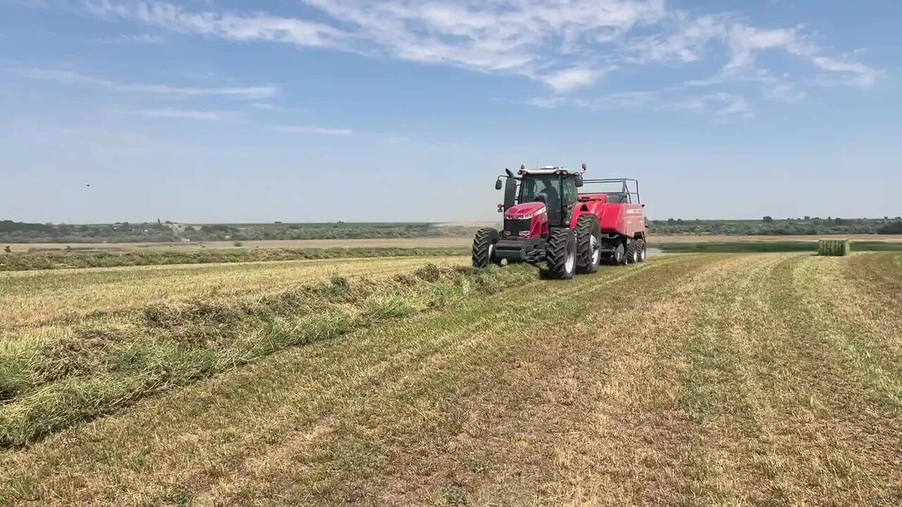 Leaving the Comfort Zone