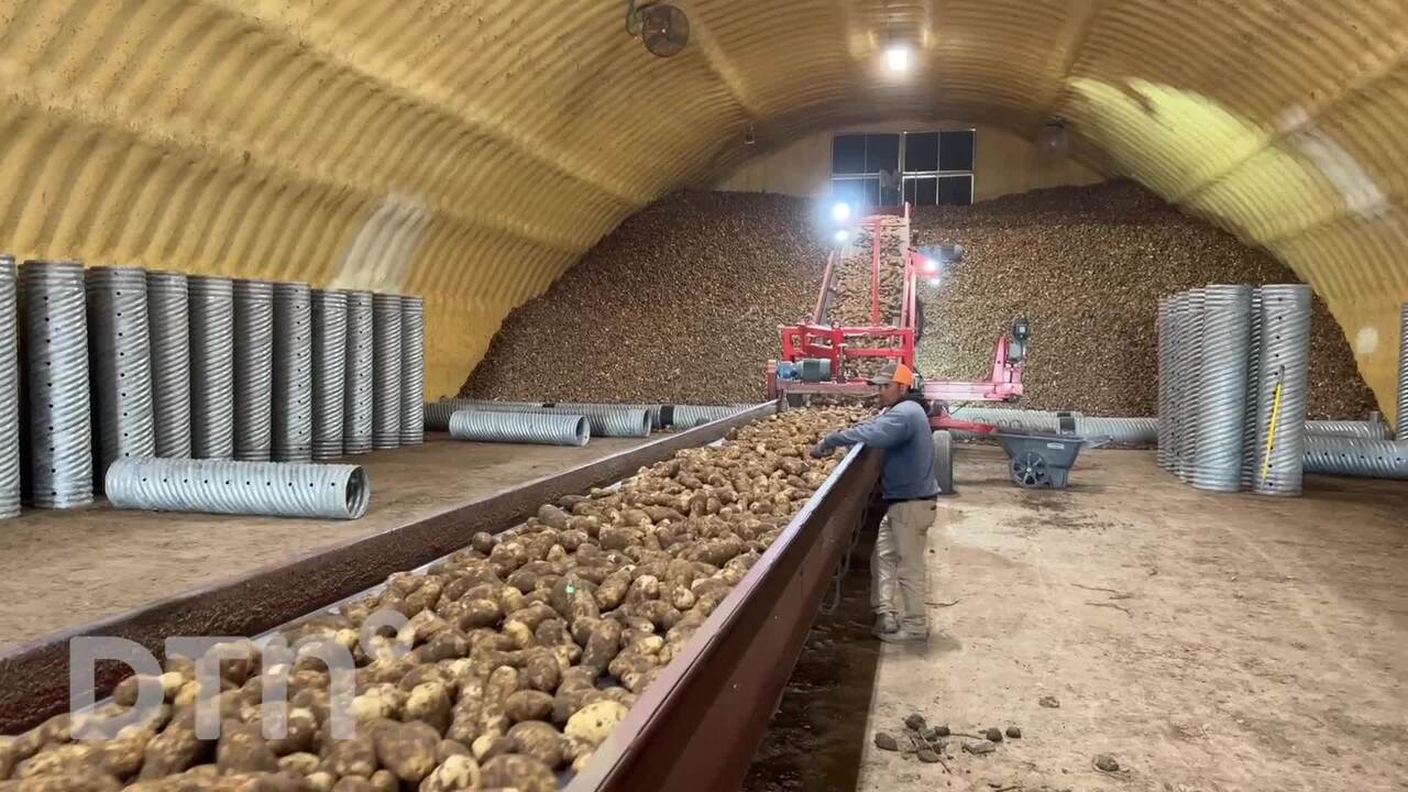 Special Projects - Potato Harvest