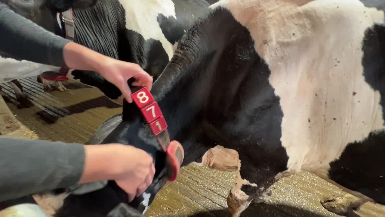 Worth the Retail Price