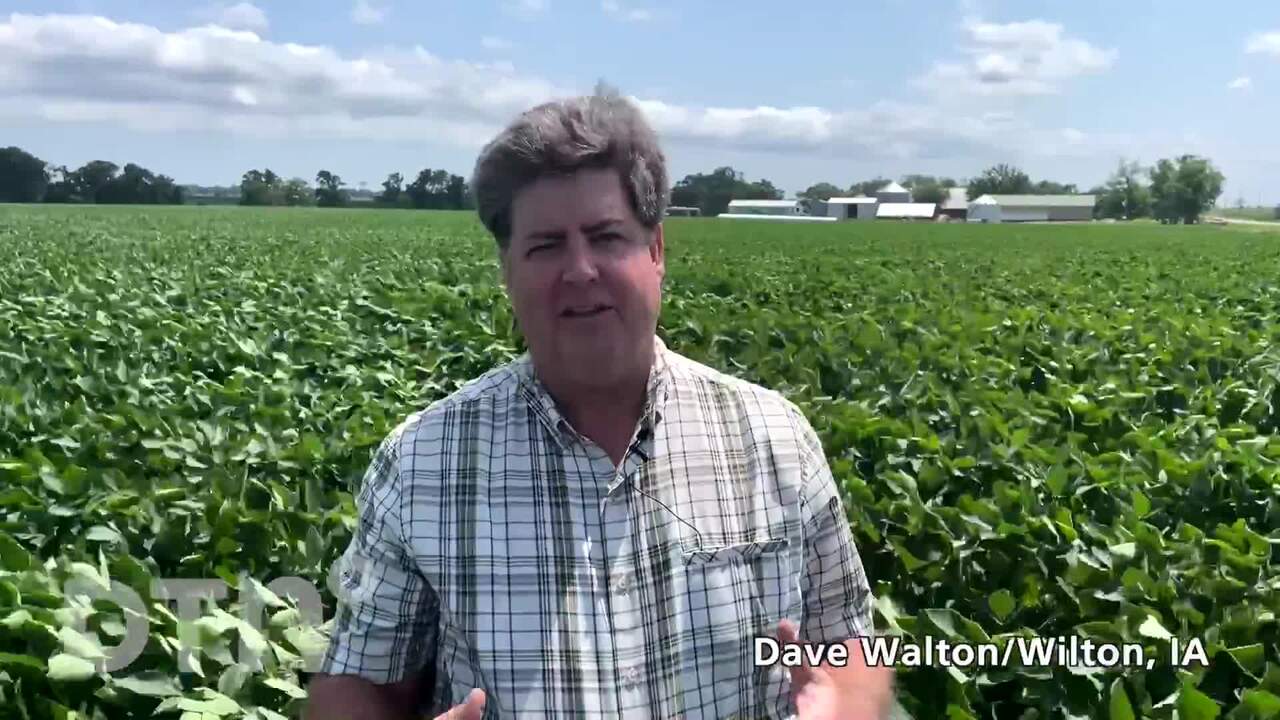 Digital Yield Tour - Dave Walton: Soybeans